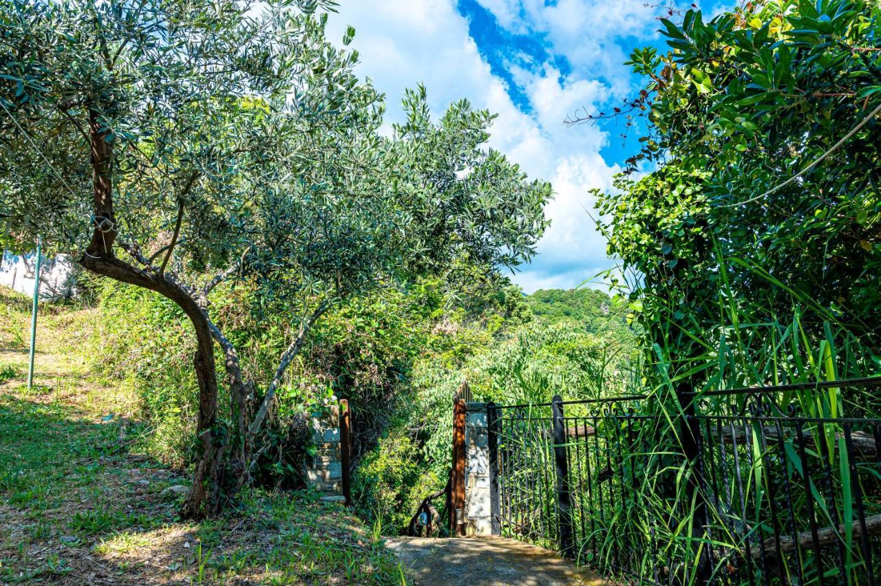 Katerina Fotopoulos Rooms&Apartments Agios Ioannis  Exterior foto