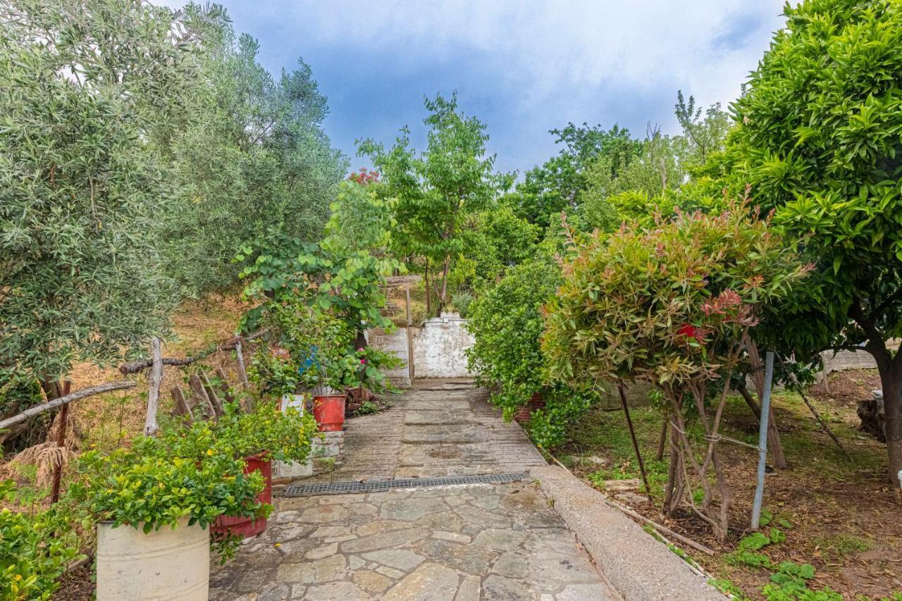 Katerina Fotopoulos Rooms&Apartments Agios Ioannis  Exterior foto